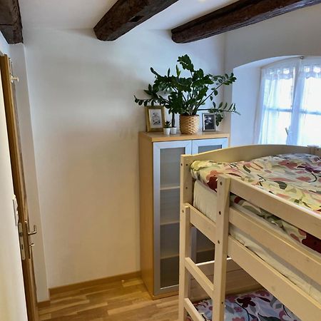 Le 128, Duplex Alsacien 10 Personnes, Piscine Apartment Horbourg Ngoại thất bức ảnh