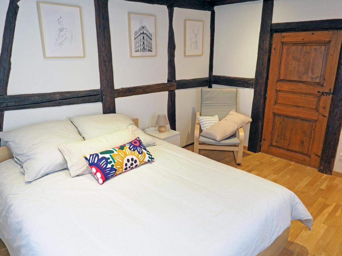 Le 128, Duplex Alsacien 10 Personnes, Piscine Apartment Horbourg Ngoại thất bức ảnh