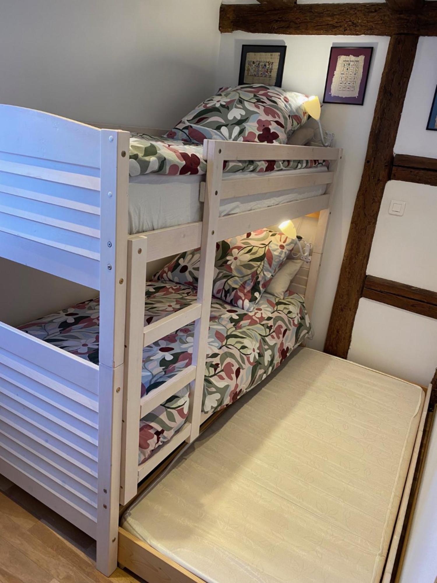 Le 128, Duplex Alsacien 10 Personnes, Piscine Apartment Horbourg Ngoại thất bức ảnh