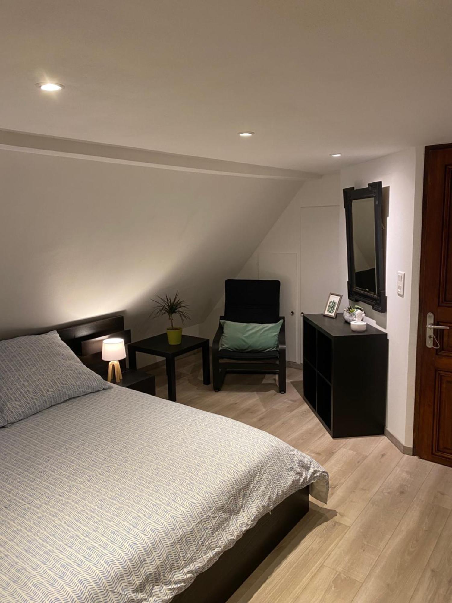 Le 128, Duplex Alsacien 10 Personnes, Piscine Apartment Horbourg Ngoại thất bức ảnh
