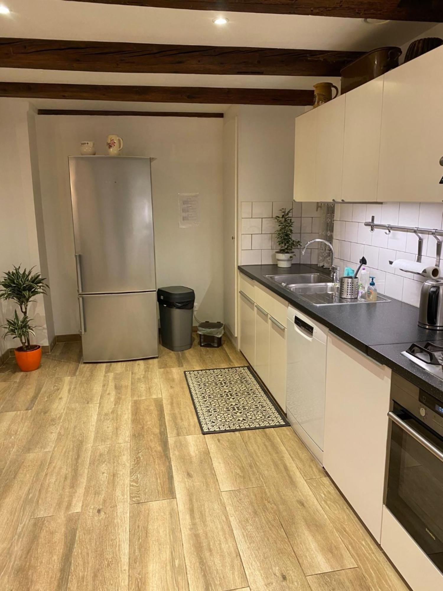 Le 128, Duplex Alsacien 10 Personnes, Piscine Apartment Horbourg Ngoại thất bức ảnh